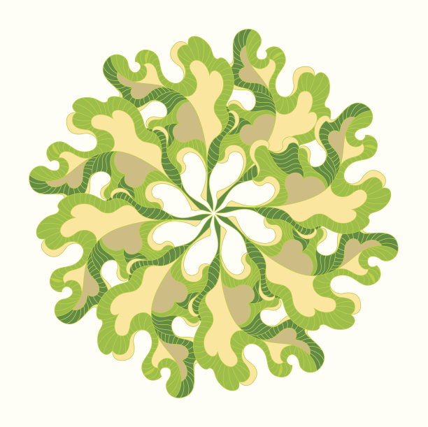 绿色的树叶图片下载