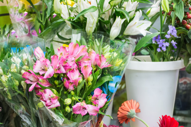 花孤立在黑色的背景图片下载