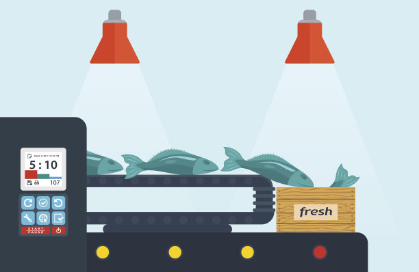 鱼厂，鱼生产。输送机与鱼。图片下载