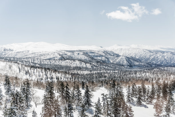 美丽的冬天的风景图片下载