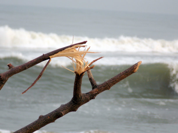 大自然知道如何平衡自己!!图片下载