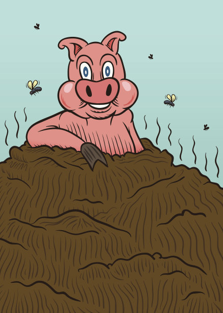 快乐的猪图片下载