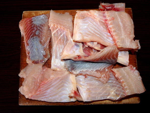 鲤鱼、鱼图片下载