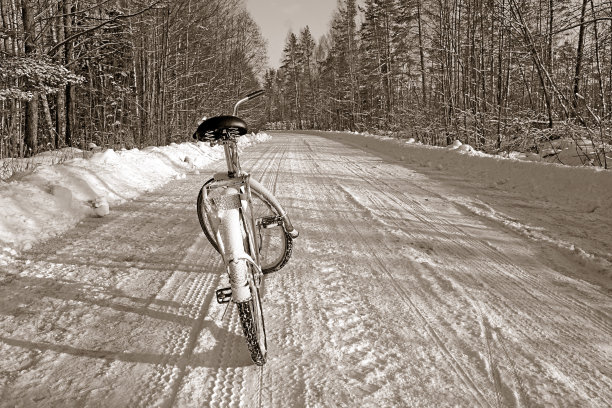冬天在森林中的公路上骑自行车图片下载