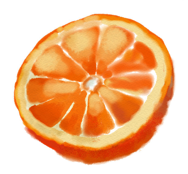 手绘图像的橙色图片下载