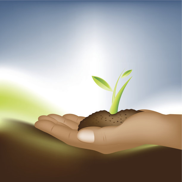 植物的生长图片下载