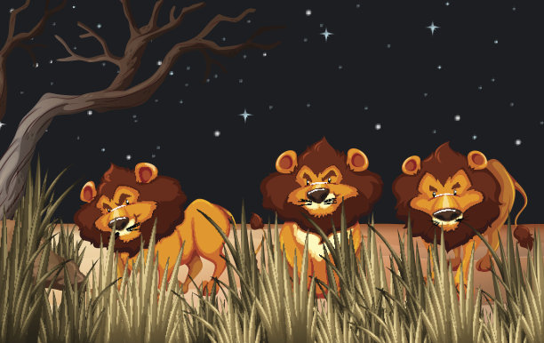 晚上有三只狮子在田野里图片下载