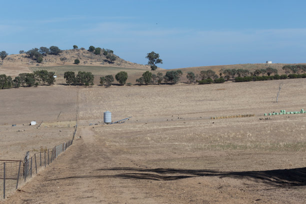 干旱的澳大利亚农场图片下载