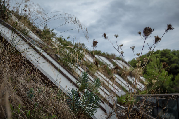 在寒冷的冬天，沿着阳台建有草和植被的建筑图片下载