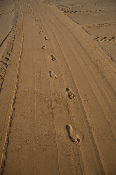 沙滩上的脚印图片下载