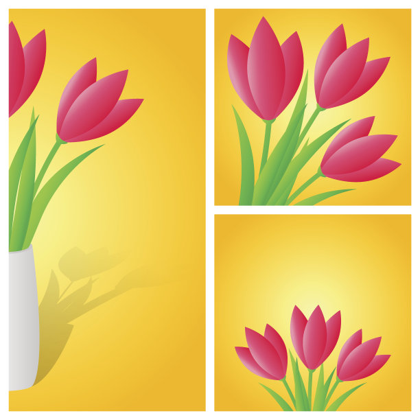 春天的背景是郁金香图片下载