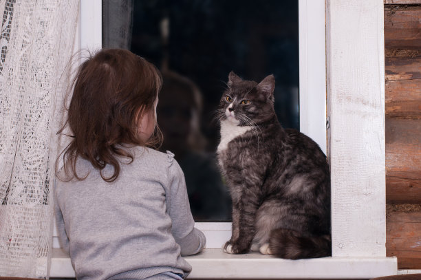 孩子和猫图片下载