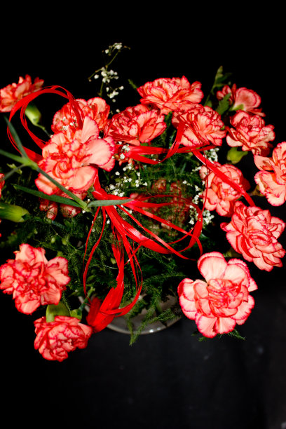 橘色花图片下载