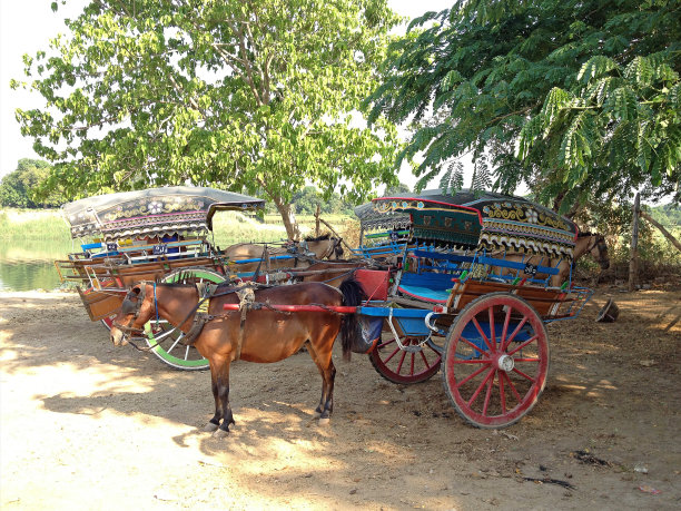 马拉车图片下载
