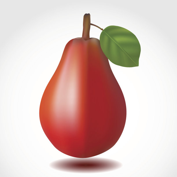 成熟的红梨果实，绿色的叶子图片下载