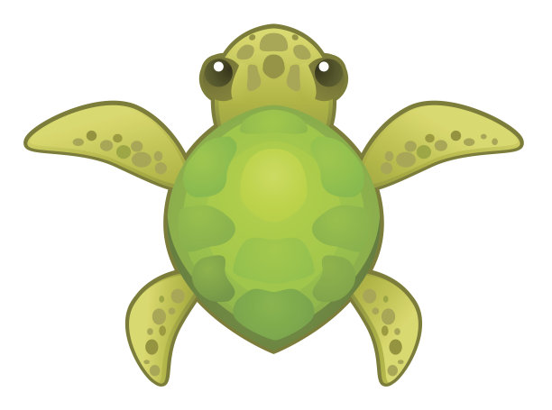 乌龟小图片下载