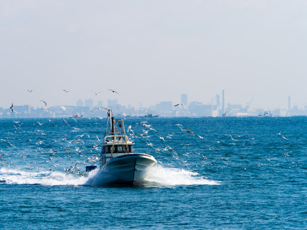 明石海峡的渔船图片下载