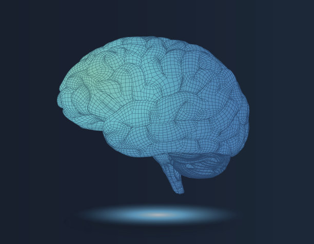 3D线框大脑的侧视图在黑暗的BG素材图片