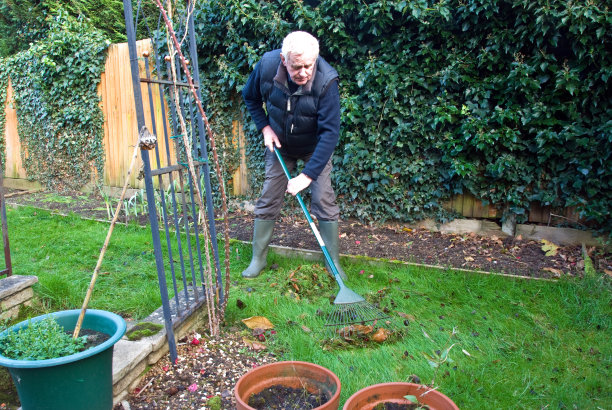 清理树叶图片下载