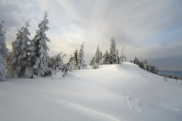 梳理在雪图片下载