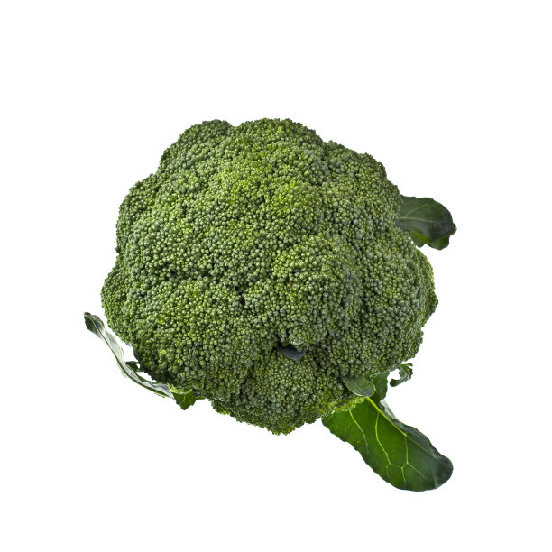 西兰花图片下载