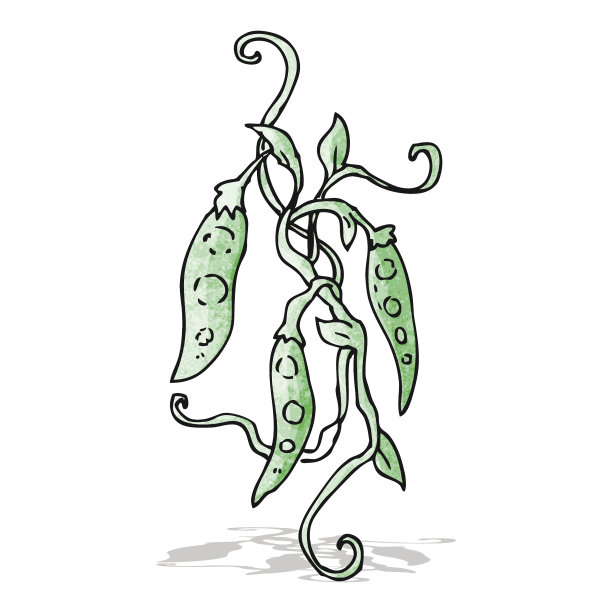 豌豆卡通图片下载
