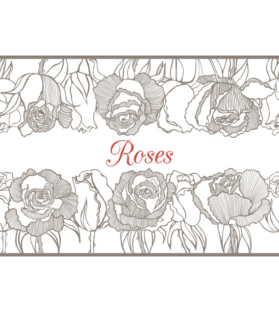 矢量装饰花与玫瑰的边界图片下载