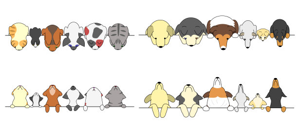 一组狗和猫在上下看图片下载