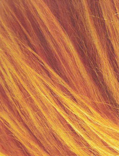 动物皮肤纹理的自然概念图片下载