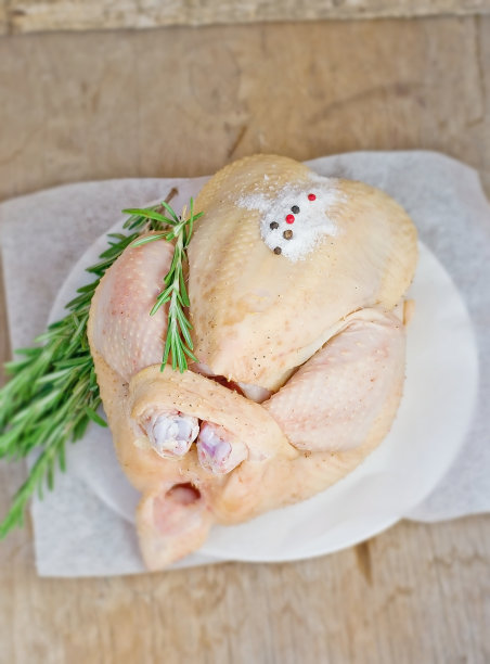 农民的鸡图片下载