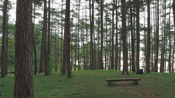 大叻春林湖图片下载