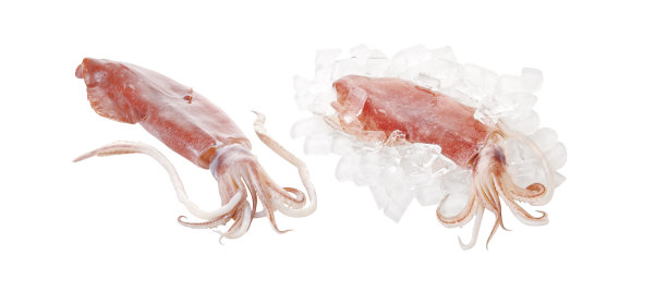 鱿鱼和冰图片下载