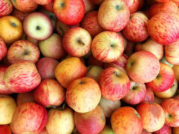 健康新鲜食品系列素材图片