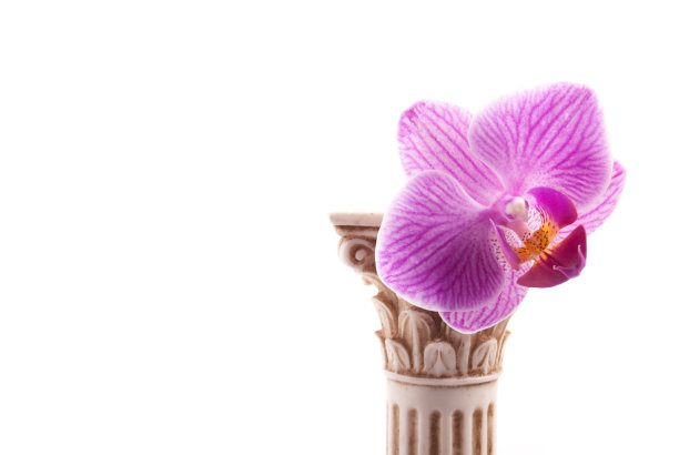 古典花柱图片下载