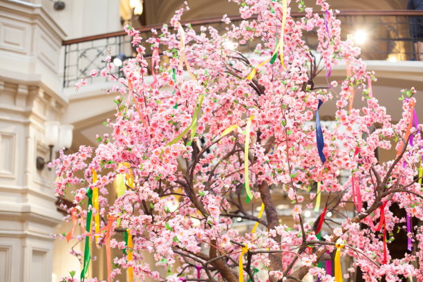 树春天盛开白色的花粉红色图片下载