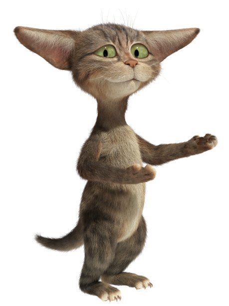 猫在抓什么东西。图片下载