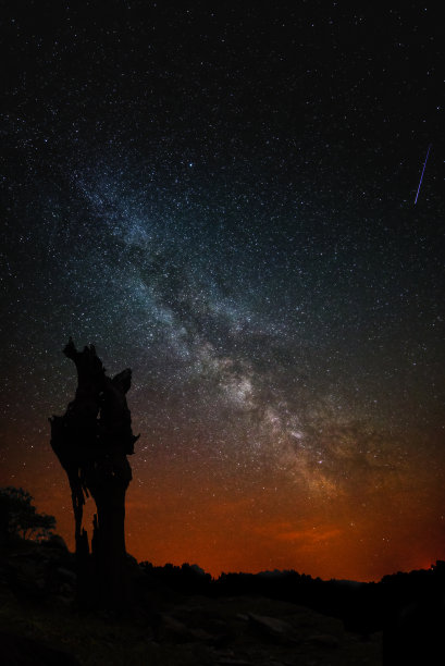 枯树的树干，银河和流星图片下载