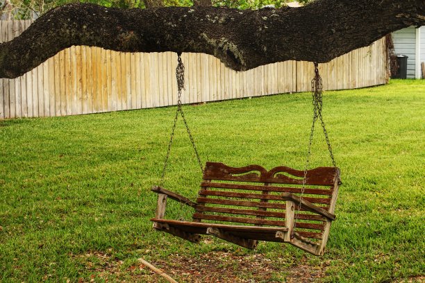 这棵树摇摆图片下载