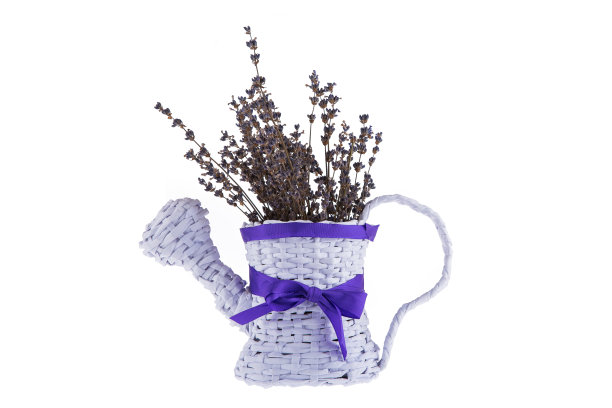 纸壶与薰衣草和紫色蝴蝶结在白色的背景图片下载
