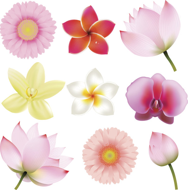 花收集图片下载