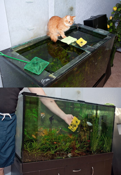 清洗鱼缸图片下载