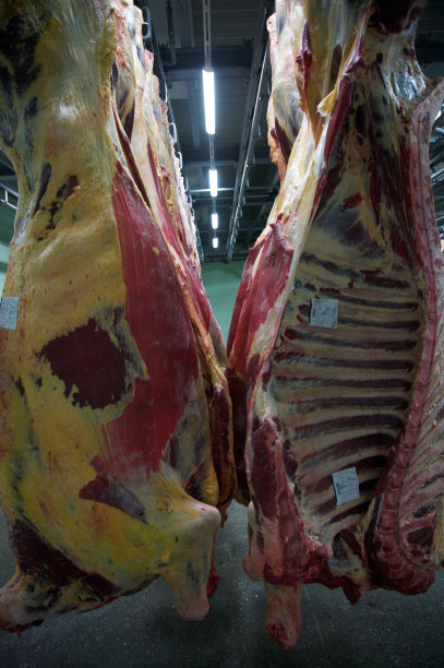 屠宰就像在传送带上图片下载
