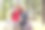 山地车照片素材ID：164634322