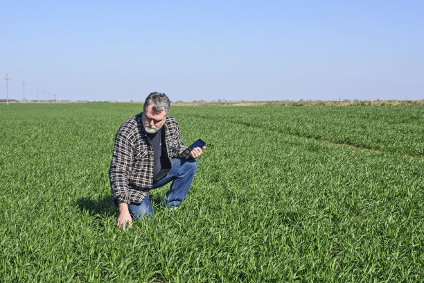 农民在田间图片下载
