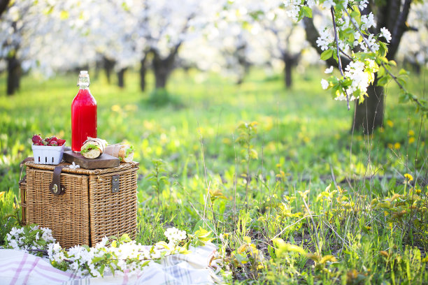 篮子，三明治，格子图案和果汁在盛开的花园里素材图片