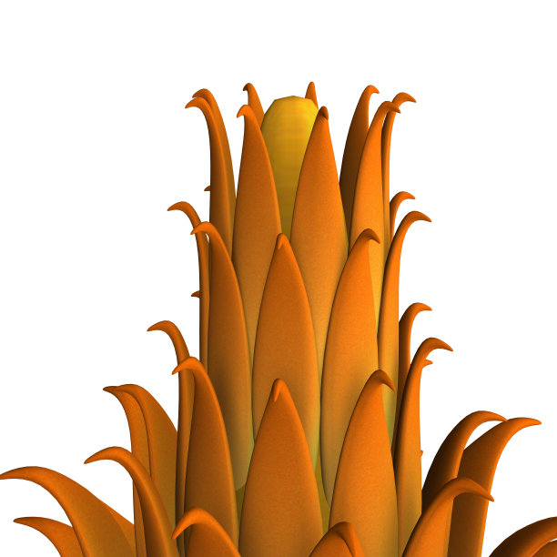 联盟的心皮图片下载