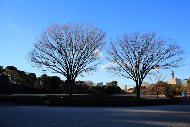 东京kokyo公园图片下载
