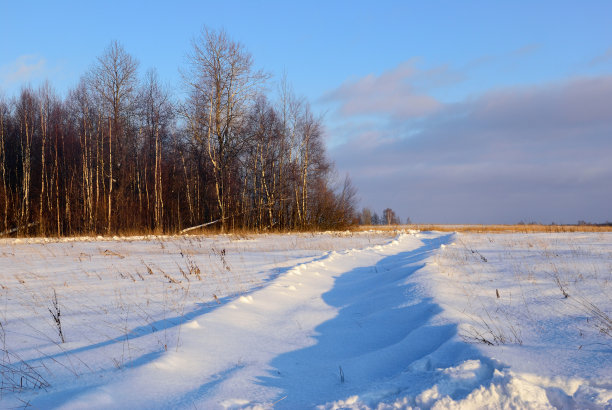 冬天的风景图片下载