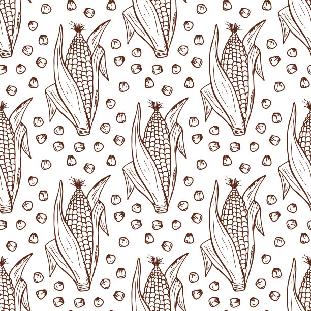矢量蔬菜背景。手绘涂鸦玉米棒子无缝图案图片下载