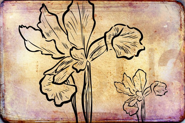 复古背景与艺术插图花图片下载
